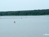 Pojezierze Gostynińskie - Jezioro Lucieńskie